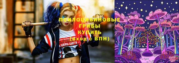 гидра Рославль