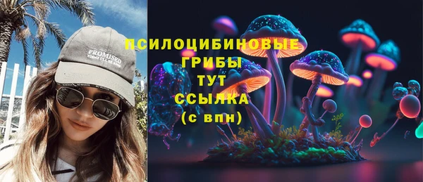 трава Белокуриха