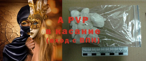 трава Белокуриха
